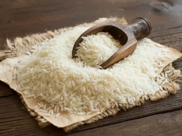 مشخصات برنج چمپا لنجان