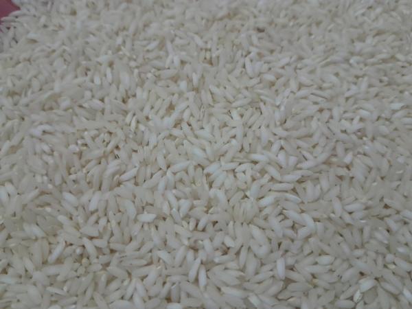 برنج چمپا درجه یک