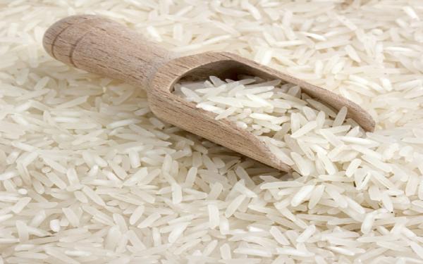 مشخصات برنج چمپا رامهرمز