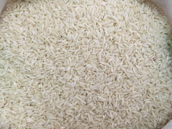 برنج چمپا یاسوج
