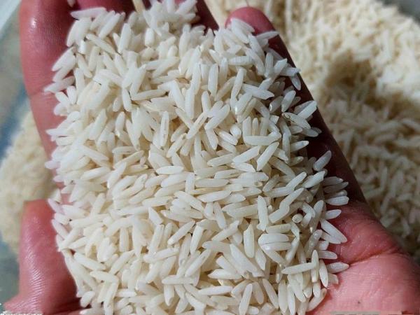 مشخصات برنج صدری گیلان