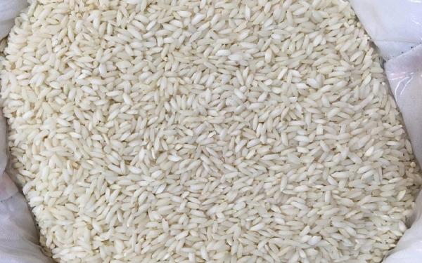 مشخصات برنج عنبر بو شیراز