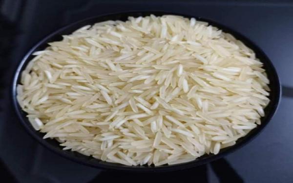 برنج چمپا رامهرمز