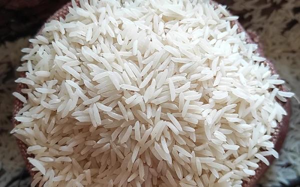 خرید برنج طارم محلی