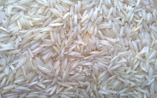 قیمت برنج چمپا رامهرمز + خرید و فروش