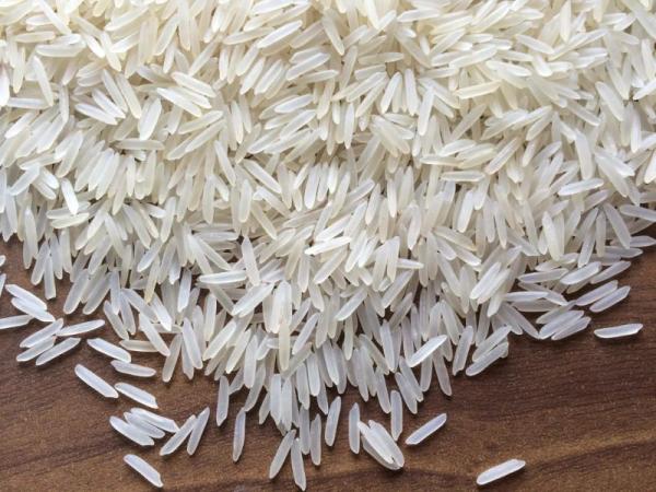 خرید برنج صدری آستانه اشرفیه