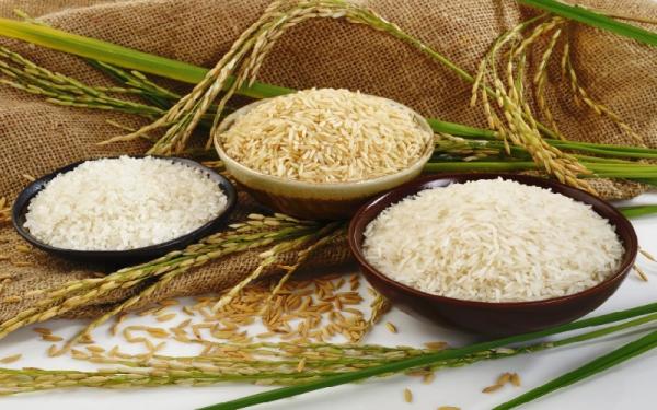 برنج عنبر بو شیراز