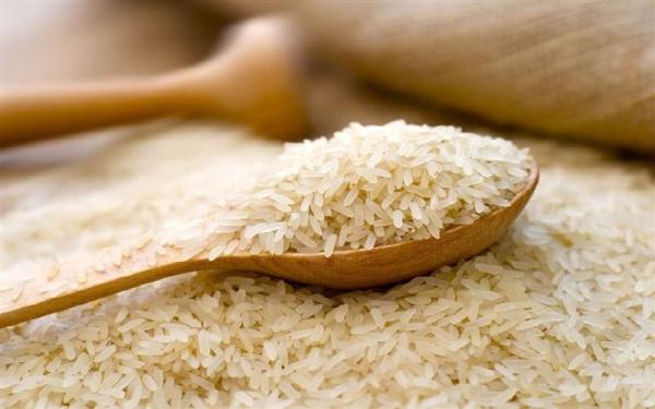 قیمت برنج عنبر بو شیراز + خرید و فروش