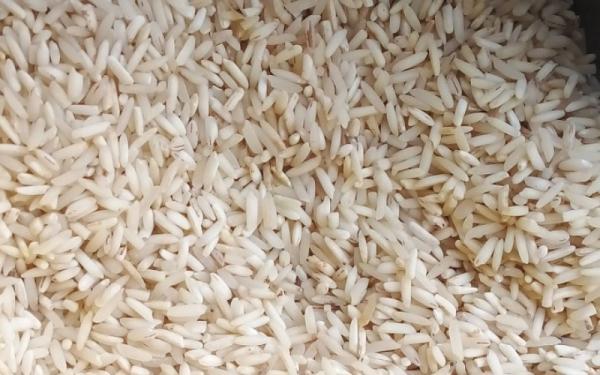 خرید برنج هاشمی اصل