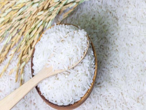 قیمت برنج چمپا فوق ممتاز + خرید و فروش