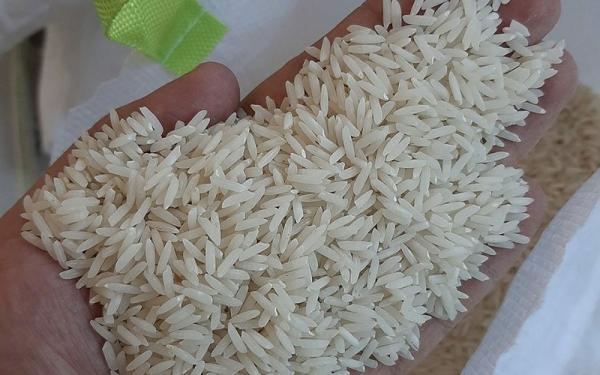 خرید برنج ندا خوشپخت