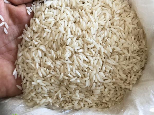 برنج صدری آستانه اشرفیه