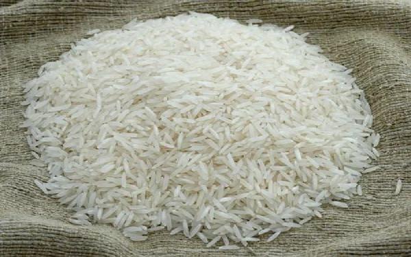 خرید برنج چمپا رامهرمز
