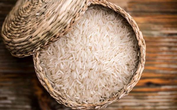 برنج محلی کامفیروز
