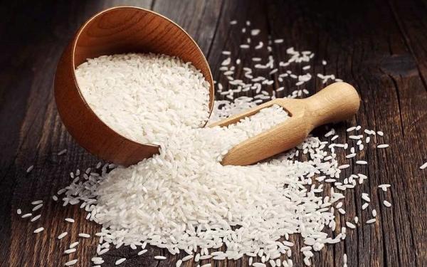 قیمت برنج چمپا اعلا + خرید و فروش