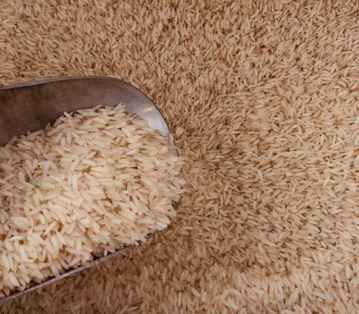 قیمت برنج کامفیروز اعلا + خرید و فروش