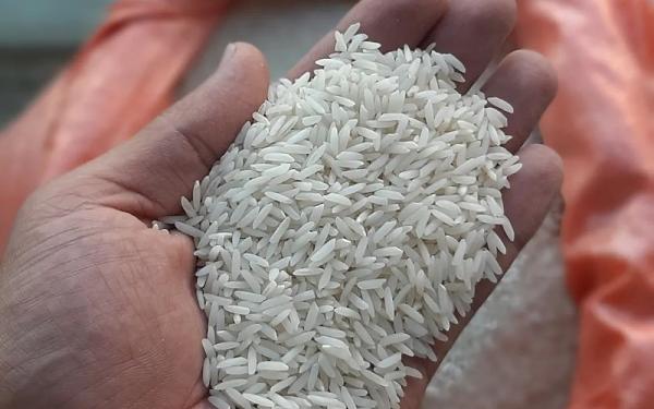 خرید برنج صدری استخوانی