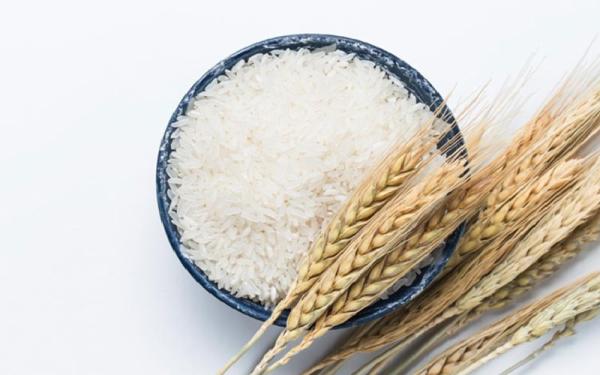 خرید برنج عنبر بو شیراز
