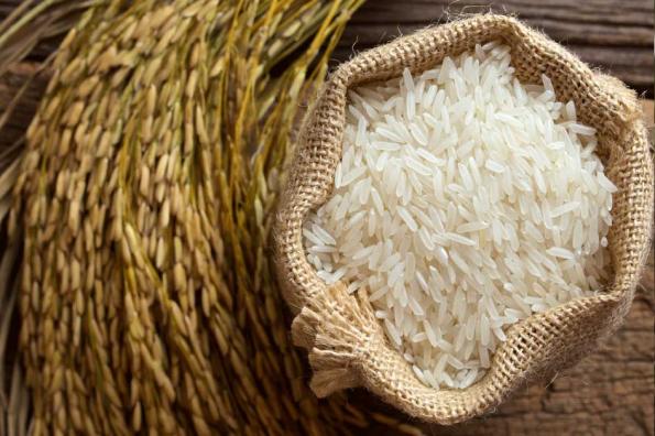 مشخصات برنج صدری معطر