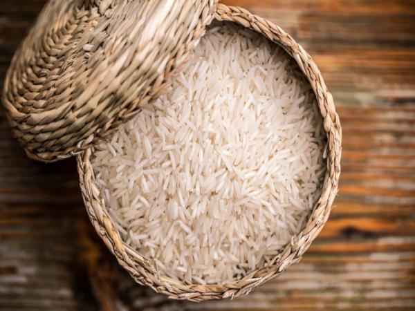 قیمت برنج چمپا نوراباد + خرید و فروش