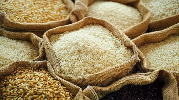 قیمت برنج صدری معطر + خرید و فروش