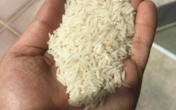 خرید برنج محلی اهواز