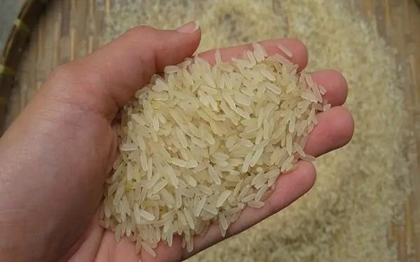 قیمت برنج فجر عطری + خرید و فروش