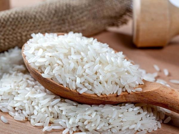 قیمت برنج شیرودی اصل + خرید و فروش