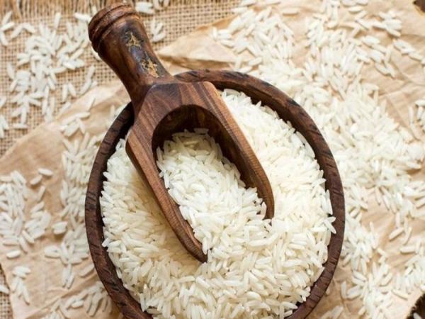 خرید برنج شیرودی بابل