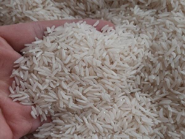مشخصات برنج فجر گیلان