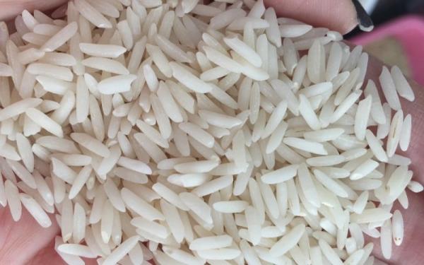 مشخصات برنج طارم دیلمانی