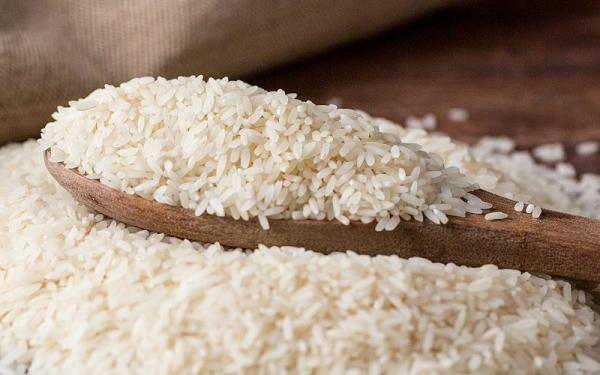 قیمت برنج فجر کشت دوم + خرید و فروش