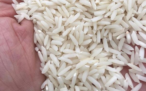 قیمت برنج فجر ایرانی + خرید و فروش