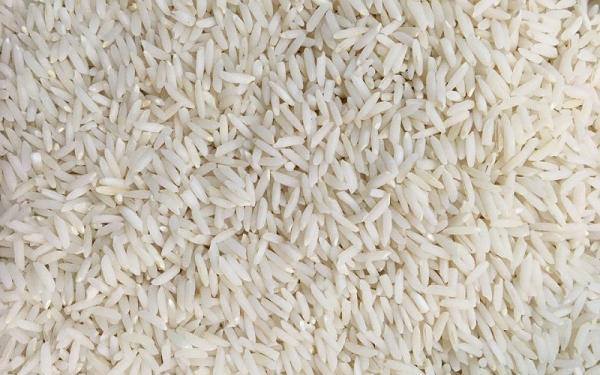 برنج شیرودی ۵ کیلویی
