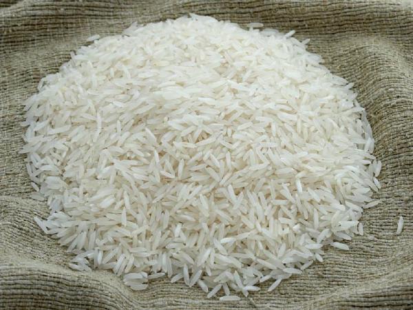 خرید برنج شیرودی اصل