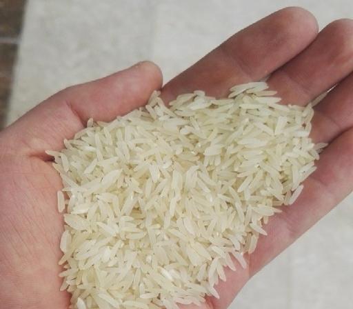 قیمت برنج فجر تهران + خرید و فروش