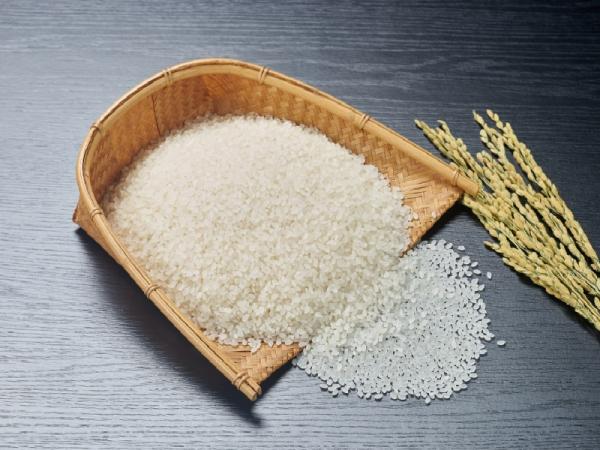 مشخصات برنج نیم دانه دم سیاه