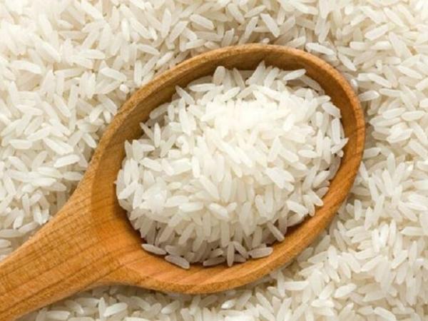 مشخصات برنج شیرودی شمال