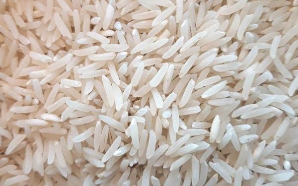 قیمت برنج ندا ایرانی + خرید و فروش