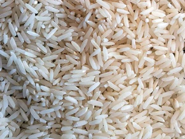 مشخصات برنج شیرودی دودی