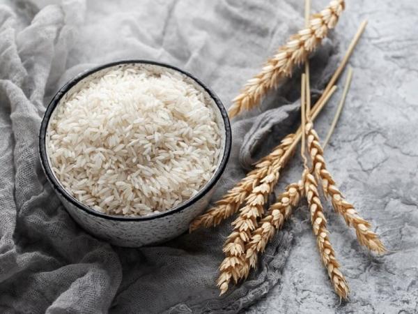 خرید برنج کامفیروز تهران