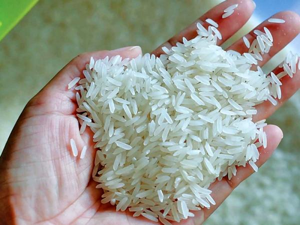 خرید برنج ندا گرگان