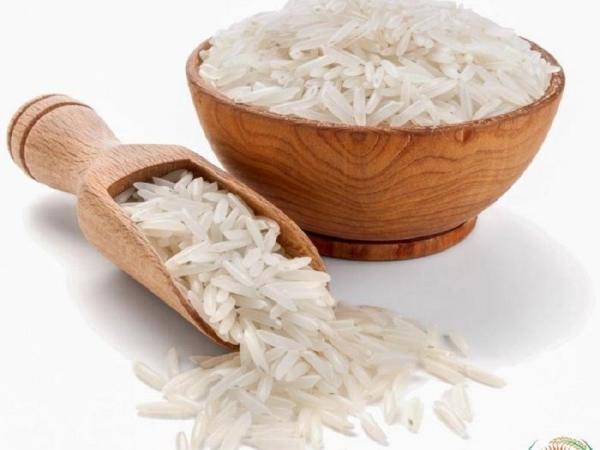 قیمت برنج شیرودی استخوانی + خرید و فروش