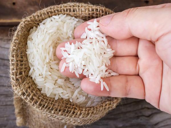 مشخصات برنج شیرودی بابل