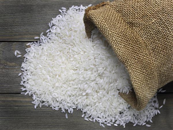 برنج شیرودی بابل
