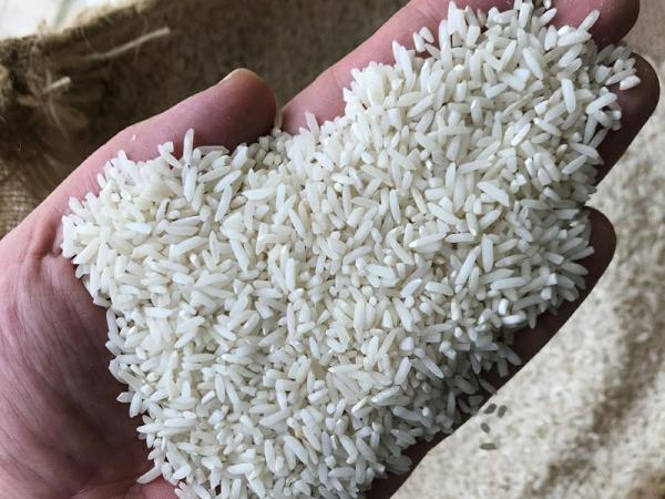 خرید برنج نیم دانه شمال