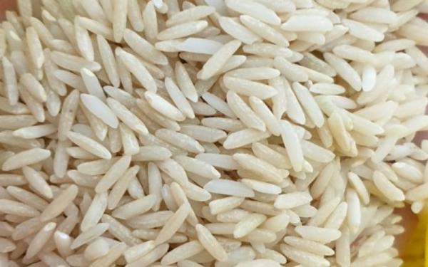 قیمت برنج شیرودی ۵ کیلویی + خرید و فروش