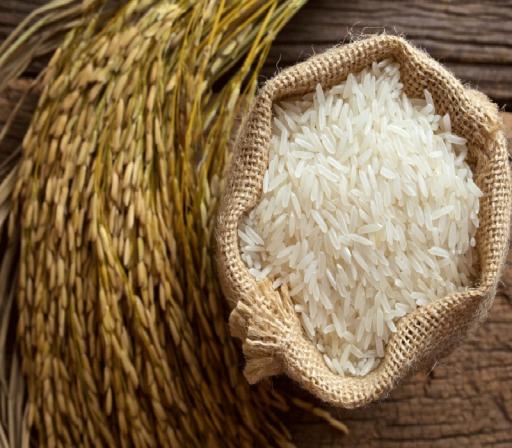 مشخصات برنج فجر تهران