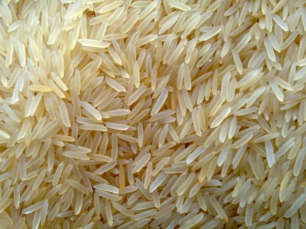 خرید برنج محلی شیراز