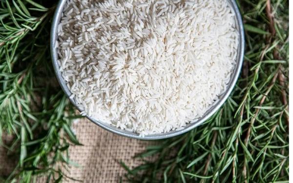 برنج محلی تالش